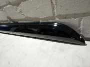 Zierleiste Links Hinten Peugeot Expert V 9808749077