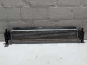 Zusatzwasserkühler Audi Audi A1 8X 6R0145805H