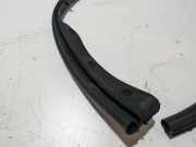 Dichtung Tür Rechts Vorne Unten Citroen C 4 N