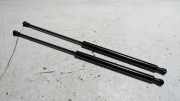 Satz Gasdruckd�mpfer Heckklappe Peugeot 206 2KFX/2NFZ/ 8731E6