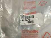 Dichtung oben Tür Links Vorne Citroen C 5 R6FZ/RRFJ/RXFU/R9HZ/R4HX/RRHR 9300F9