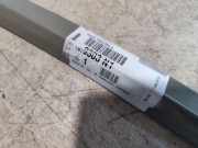 Fensterführungsschiene Tür Links Citroen C 1 P 9303N1