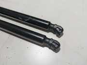 Satz Heckklappendämpfer VW Golf Au/auv 510827550A