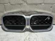 Kühlergrill BMW iX3 G08 51119881798