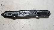 Lampenträger Heckleuchte Fiat Ducato 250/251 20135751
