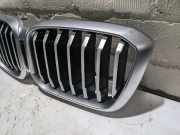 Kühlergrill BMW X 3 G01 10627111