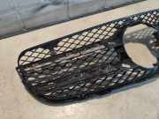 K�hlergrill Mercedes-benz GLC 253 A2538806600