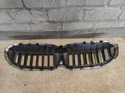 Kühlergrill BMW 3er G20 / G21 511319297610