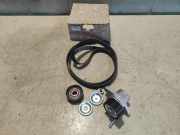 Keilrippenriemensatz Dacia Duster SD 117206746R