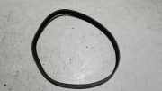 Keilrippenriemen Peugeot 207 W 5750YK