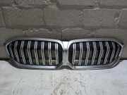 Kühlergrill BMW 3er G20/G21/G8 5113192976