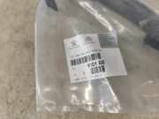 T?raussengriff Links Vorne Citroen C 4 L 9101GE