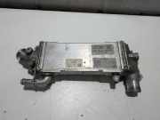 Ladeluftkühler Opel Astra K 55512943