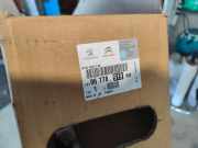 Heckscheibe Peugeot 308 L 9677891980