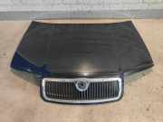 Motorhaube Skoda Fabia 6Y