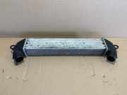 Ladeluftkühler Fiat Doblo 223 /223 L 46849068