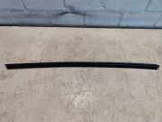 Schachtleiste aussen Tür Rechts Hinten Citroen C 3 S 931291