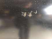 Motorhaube Opel Kadett E