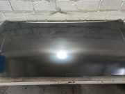 Motorhaube Citroen C 2 J Hfx/j Kfv/ J 8HX/J NFU 7901Q3