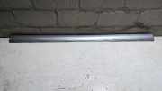 Sto�leiste T�r Links Vorne Mercedes-benz C-klasse 202 2026908162