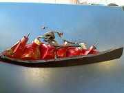 Heckleuchte Rechts Ford Mondeo B5Y/B4Y/BWY 1S7113404C