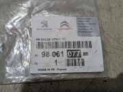 Schriftzug Tür Links Vorne Peugeot 4008 B 9806107780