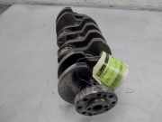 Kurbelwelle 55200307 Fiat Fiorino (225) Van 1.3 JTD 16V Multijet (199.A.9000(Euro 5)) 2009-01