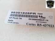 Verkleidung Himmel 98301825PR Opel Corsa F (UB/UH/UP) Schrägheck 5-drs 1.2 Turbo 12V 100 (F12XHL(EB2ADTD)) 2021