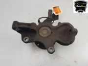 Achsschenkel Links Vorne 2E0407303P Volkswagen Crafter Van 2.5 TDI 30/32/35/46/50 (CEBB(Euro 5)) 2010 CEBB(Euro 5)