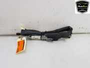 Dachairbag Links 52009375 Fiat 500 (312) Schrägheck 1.2 (169.A.4000(Euro 5)) 2008-08