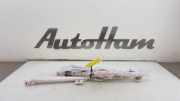 Dachairbag Links 5JJ880741A Skoda Rapid Liftback 1.0 TSI 12V (CHZC) 2018