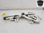 Dachairbag Rechts 107782800E Tesla Model 3 Limousine Long Range AWD 75 kWh (3D7) 2019-09