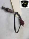 Lambdasonde 04E906262GF Volkswagen Taigo SUV 1.0 TSI 110 12V (DLAA) 2023 DLAA