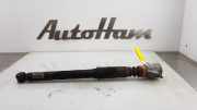 Stoßdämpfer Links Hinten 814902001440 Audi A4 (B8) Limousine 2.0 TDI 16V (CJCB) 2011-12
