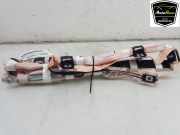 Dachairbag Links H1BBA042D95AC Ford Fiesta 7 Schrägheck 1.0 EcoBoost 12V 100 (SFJF) 2019-04