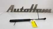 Gasdruckfedern Set Hinten 5Z6827550B Volkswagen Fox (5Z) Schrägheck 1.2 (BMD) 2006 BMD