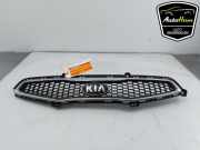 Kühlergrill Kia Picanto 2 TA 863511Y000