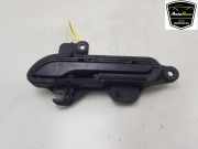 Türgriff Außen Links Hinten 178088400A Tesla Model 3 Limousine Standard RWD Plus, Long Range RWD (3D5) 2020