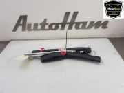 Dachairbag Rechts 50518978 Alfa Romeo MiTo (955) Schrägheck 1.4 16V (955.A.1000) 2009-09