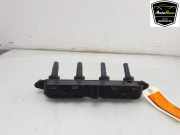 Zündspule 597097 Peugeot 206+ (2L/M) Schrägheck 1.4 XS (TU3A(KFV)) 2010-05