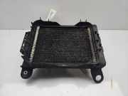 Radiator 7600698 BMW 4 serie (F32) Coupé 435d xDrive 3.0 24V (N57-D30B) 2014-08