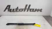 Gasdruckfedern Set Hinten 1K88275504S Volkswagen Scirocco (137/13AD) Schrägheck 3-drs 1.4 TSI 122 16V (CAXA) 2011-05 CAXA