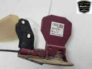 Antenne Verstärker 8V0035507 Audi A4 Avant (B9) Kombi 2.0 40 TFSI Mild Hybrid 16V (DKYA) 2018-01