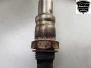 Lambdasonde LX619Y460GA Ford Kuga III (DFK) SUV 2.5 PHEV 16V (BGDA) 2022-01