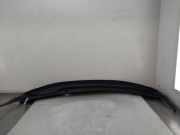 Scheibenwischer Abdeckung 668625FA0A Nissan Micra (K14) Schr?gheck 1.0 12V (BR10DE) 2018-05