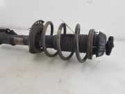 Stoßdämpfer Rechts Vorne 54603C8000 Hyundai i20 (GBB) Schrägheck 1.2i 16V (G4LA) 2015-07