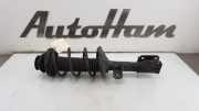 Stoßdämpfer Rechts Vorne 41601M68K01 Suzuki Alto Schrägheck 5-drs 1.0 12V (K10B) 2015-01