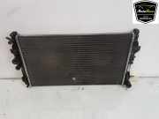 Radiator A6395010401 Mercedes-Benz Vito (639.6) Van 2.2 109 CDI 16V (OM646.981) 2007-02
