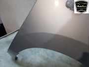 Kotflügel Rechts Vorne 631002600R Dacia Lodgy (JS) Großraumlimousine 1.2 TCE 16V (H5F-408) 2014-06