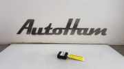 Steuergerät Beleuchtung 316627975 Opel Adam Schrägheck 3-drs 1.2 16V (A12XEL/B12XEL) 2014